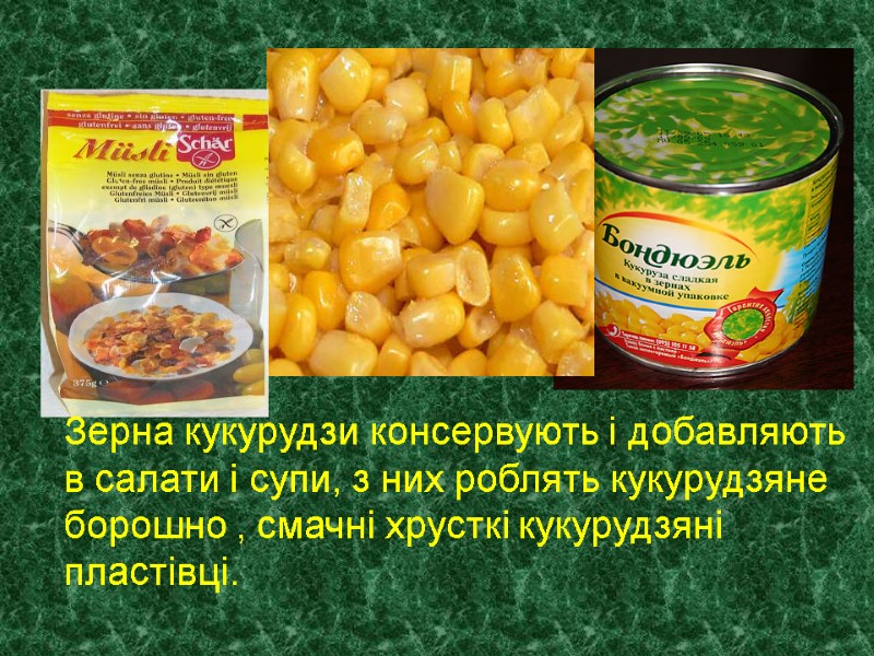 Зерна кукурудзи консервують і добавляють в салати і супи, з них роблять кукурудзяне борошно